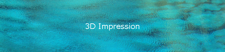3D Impression
