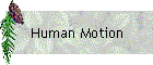 Human Motion