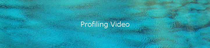 Profiling Video