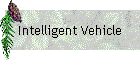 Intelligent Vehicle