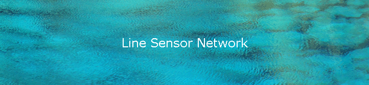 Line Sensor Network